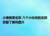小猪佩奇名称 八个小伙伴的名称您都了解吗图片