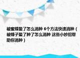 被蜜蜂蛰了怎么消肿 6个方法快速消肿（被蜂子蛰了肿了怎么消肿 这些小妙招帮助你消肿）