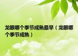 龙眼哪个季节成熟最早（龙眼哪个季节成熟）
