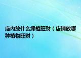 店内放什么绿植旺财（店铺放哪种植物旺财）