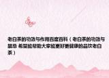 老白茶的功效与作用百度百科（老白茶的功效与禁忌 希望能帮助大家能更好更健康的品饮老白茶）