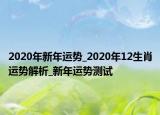 2020年新年运势_2020年12生肖运势解析_新年运势测试