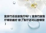 富贵竹适合放客厅吗?（富贵竹放客厅哪里最好 除了客厅还可以放哪里）