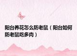 阳台养花怎么防老鼠（阳台如何防老鼠吃多肉）