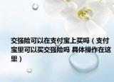 交强险可以在支付宝上买吗（支付宝里可以买交强险吗 具体操作在这里）