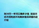 存20万一年可以赚多少钱  投资方式不同利润不同具体情况详细内容介绍