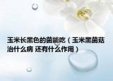 玉米长黑色的菌能吃（玉米黑菌菇治什么病 还有什么作用）