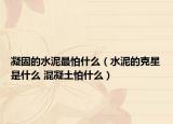 凝固的水泥最怕什么（水泥的克星是什么 混凝土怕什么）
