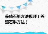 养殖石斛方法视频（养殖石斛方法）