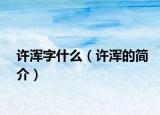 许浑字什么（许浑的简介）