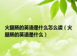 火腿肠的英语是什么怎么读（火腿肠的英语是什么）