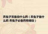 养兔子常备些什么药（养兔子备什么药 养兔子必备药有哪些）