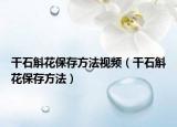 干石斛花保存方法视频（干石斛花保存方法）