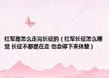 红军是怎么走完长征的（红军长征怎么睡觉 长征不都是在走 也会停下来休整）