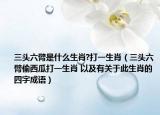 三头六臂是什么生肖?打一生肖（三头六臂偷西瓜打一生肖 以及有关于此生肖的四字成语）
