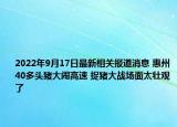 2022年9月17日最新相关报道消息 惠州40多头猪大闹高速 捉猪大战场面太壮观了
