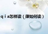 qⅰa怎样读（葎如何读）