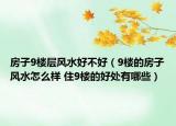 房子9楼层风水好不好（9楼的房子风水怎么样 住9楼的好处有哪些）
