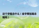 这个字锡念什么（金字旁加易念锡吗）