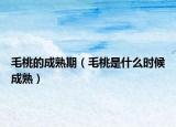 毛桃的成熟期（毛桃是什么时候成熟）