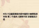 9月17日最新更新内容中国四大翡翠批发市场 第二个很多人都想不到 详细情况介绍