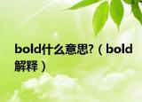 bold什么意思?（bold解释）