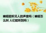蝙蝠能听见人的声音吗（蝙蝠怎么叫 人们能听到吗）