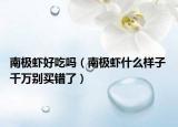 南极虾好吃吗（南极虾什么样子 千万别买错了）