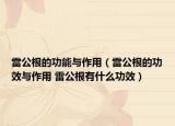雷公根的功能与作用（雷公根的功效与作用 雷公根有什么功效）