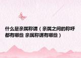 什么是亲属称谓（亲属之间的称呼都有哪些 亲属称谓有哪些）