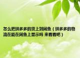 怎么把拼多多的货上到闲鱼（拼多多的物流在能在闲鱼上显示吗 来看看吧）