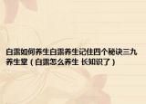 白露如何养生白露养生记住四个秘诀三九养生堂（白露怎么养生 长知识了）