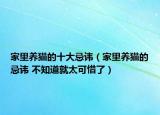 家里养猫的十大忌讳（家里养猫的忌讳 不知道就太可惜了）