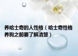 养哈士奇的人性格（哈士奇性格 养狗之前要了解清楚）