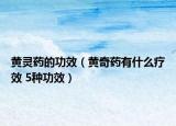 黄灵药的功效（黄奇药有什么疗效 5种功效）