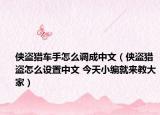 侠盗猎车手怎么调成中文（侠盗猎盗怎么设置中文 今天小编就来教大家）