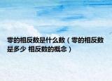 零的相反数是什么数（零的相反数是多少 相反数的概念）