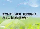 胃子胀气什么原因（胃涨气是什么病 怎么才能解决胃胀气）