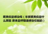 咳黄痰是感染吗（半夜咳黄痰是什么原因 原来是呼吸道感染引起的）