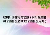 松树叶子作用与功效（片叶松树的种子有什么功效 松子有什么用处）