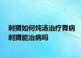 刺猬如何炖汤治疗胃病刺猬能治病吗