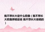 我不想长大是什么歌曲（我不想长大歌曲原唱是谁 我不想长大谁唱的）