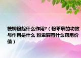 桄楖粉起什么作用?（粉萆薢的功效与作用是什么 粉萆薢有什么药用价值）