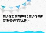 栀子花怎么养护呢（栀子花养护方法 栀子花怎么养）