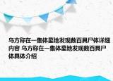 乌方称在一集体墓地发现数百具尸体详细内容 乌方称在一集体墓地发现数百具尸体具体介绍