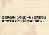 富贵贫贱是什么动物打一肖（富贵的动物是什么生肖 这种生肖的绊脚石是什么）