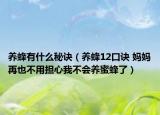 养蜂有什么秘诀（养蜂12口诀 妈妈再也不用担心我不会养蜜蜂了）
