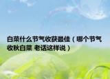 白菜什么节气收获最佳（哪个节气收秋白菜 老话这样说）