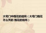 大宅门中槐花的结局（大宅门槐花怎么死的 槐花的结局）