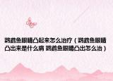 鹦鹉鱼眼睛凸起来怎么治疗（鹦鹉鱼眼睛凸出来是什么病 鹦鹉鱼眼睛凸出怎么治）